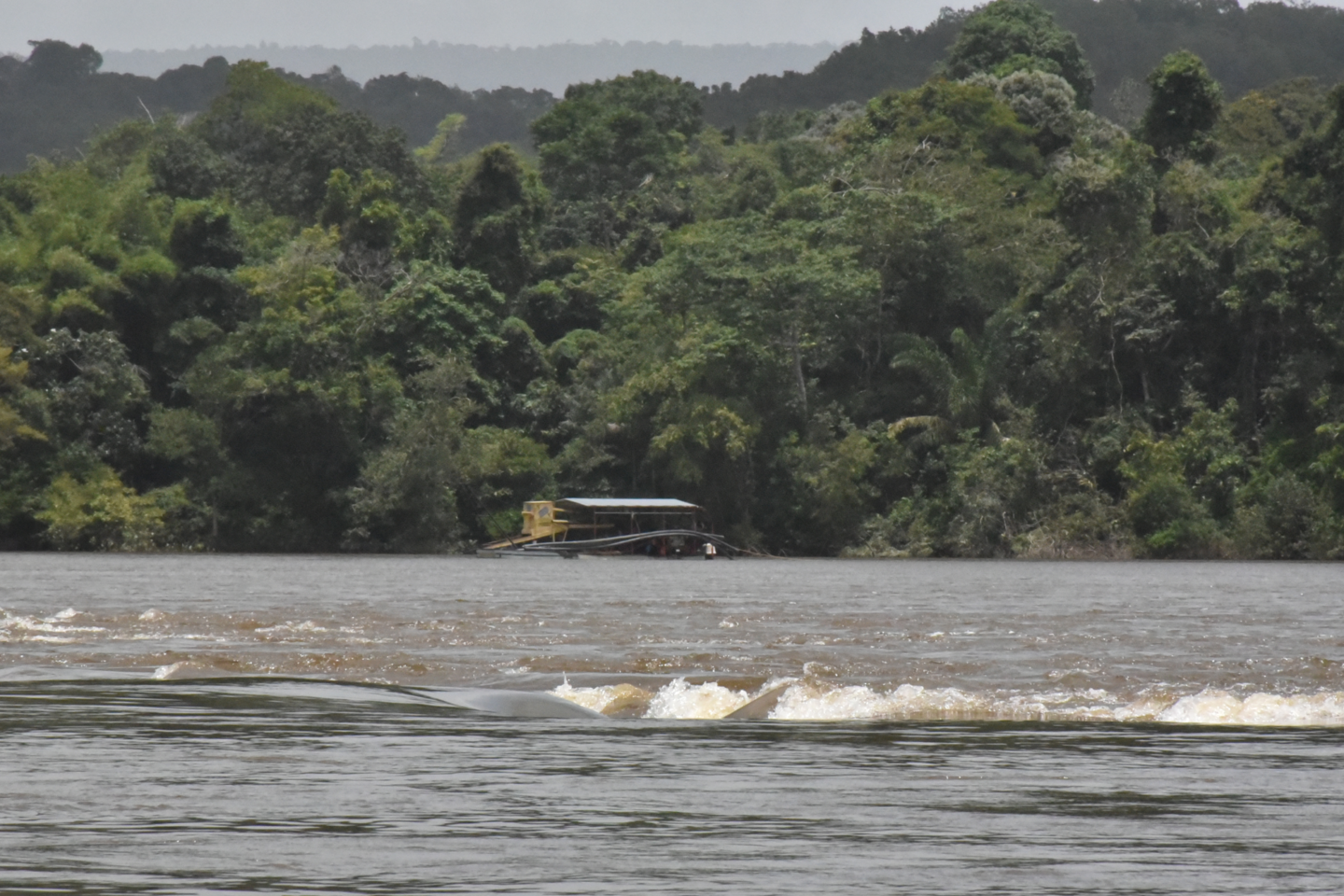 Conserving the 'Green Gold' - Popular Places Suriname